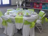 Table vert anis