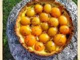 Tarte aux abricots au thermomix