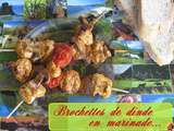 Brochettes de dinde en marinade