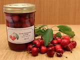 Cerises Dénoyautées au Sirop