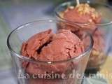 Sorbet Fruits rouges (Machine frisson Demarle)