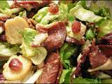 Salade de magret de canard a la grenade [#canard #gourmand #salade #faitmaison]