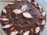 Entremets croustillant aux 2 mousses