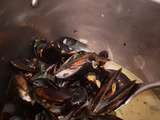 Moules marinières