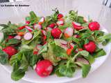 Salade de radis