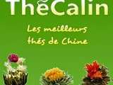 Thé Calin