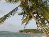 Anse l'étang, Presqu'île de la Caravelle