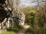 Boucle du Moulin du Saut