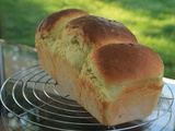 Brioche au fromage blanc