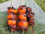 Brochettes de magret de canard aux abricots