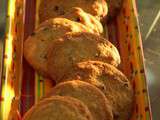 Cookies chocolat, noisettes