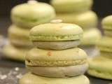 Forêt de macarons à la pistache