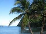 Village de Deshaies en Guadeloupe