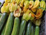 Spaghetti  aux fleurs de courgette