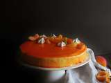 Au coeur de la garrigue {Entremet abricot-romarin}