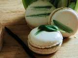 Macarons vanille-basilic (jardin d'éden de Pierre Hermé)