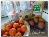 Clafoutis aux abricots version avec Thermomix