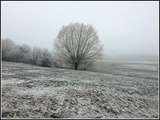 Moselle a revêtu son manteau blanc, 26 décembre 2018