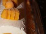 Bûche glacé mangue clémentine fruit de la passion