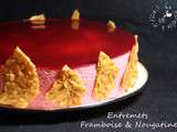 Entremets aux Framboises