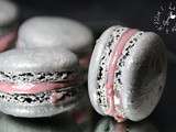 Macarons Chocolat Blanc & Framboise