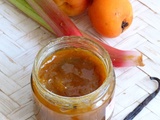 Confiture abricots, rhubarbe et vanille