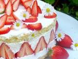 Fraisier léger au fromage blanc