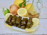 Feuilles de vigne (dolmas)