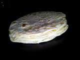 Galettes tortillas mexicaine fait maison