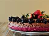 Gâteau mousse au chocolat et mousse aux fruits