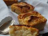 Gateau Aux Pommes et Aux Flocons d'Avoine tout Léger