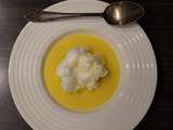 Ile flottante Mangue Coco