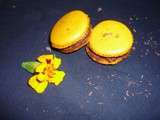 Macarons simplement Chocolat