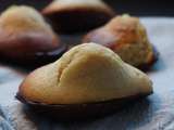 Madeleines En Coque de Chocolat