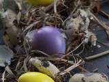 Oeufs de Pâques Colorés