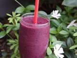 Smoothie Glacé Myrtilles Céleri et Banane Sans Lactose