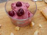 Sorbet Cerises Griottes