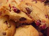 Biscuits aux canneberges et aux brisures de chocolat