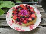 Gâteau au fromage blanc et aux framboises