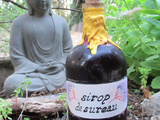 Sirop de sureau