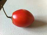 Tamarillo