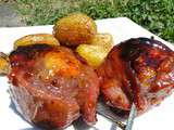 Brochettes de magret de canard aux abricots - Les recettes de mimi