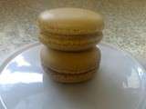 Macarons speculoos