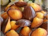 Madeleines coque chocolat