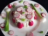 Fromage type 'Boursin' à l'oignon vert (fait maison et sans yaourtière)