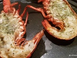 Homard grillé