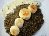 Noix de St.-Jacques et lentilles vertes du Puy, crème acidulée à la truffe