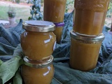 Confiture de mirabelles et rhubarbe