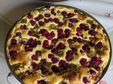 Gâteau au fromage blanc framboises et rhubarbe