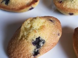 Madeleines noix de coco et myrtilles